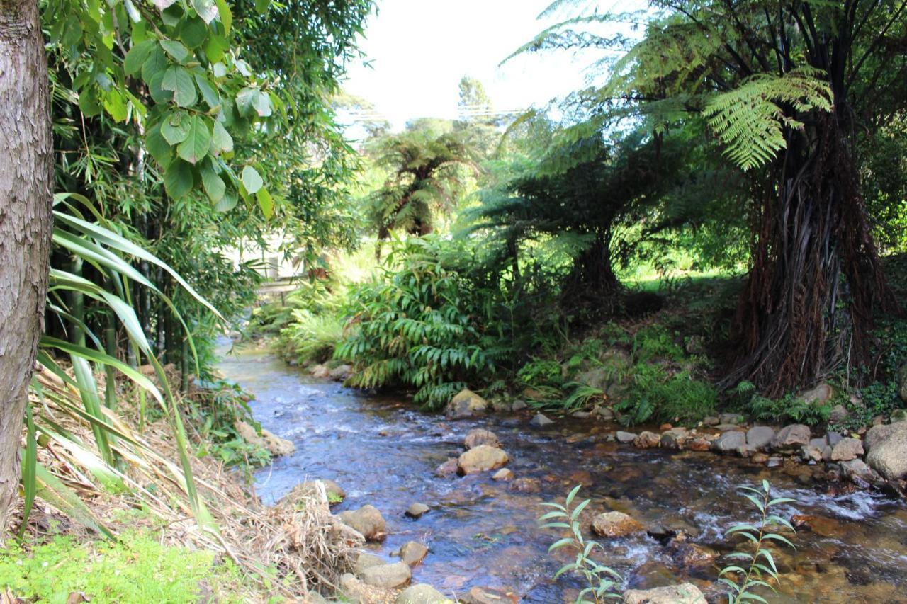 Parsloe'S Cottage Coromandel 外观 照片